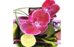 Composition Florale Chrysalide 5 Composition Florale Chrysalide -L’Agitateur Floral Soldes composition florale rose et blanche chrysalide 2