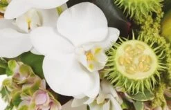 Composition Horizontale Eventail -L’Agitateur Floral Soldes composition horizontale eventail 2