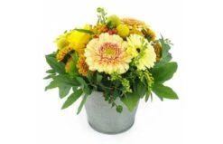 Composition Orange & Jaune "Tokyo"