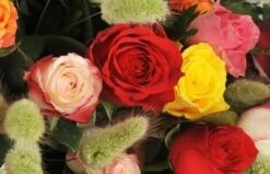 Composition Piquée De Deuil Florever -L’Agitateur Floral Soldes composition piquee de deuil florever 2