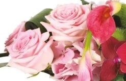 Composition Pureté Des Sens -L’Agitateur Floral Soldes composition purete des sens 2