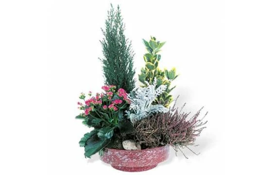 Coupe De Plantes Vertes & Fleuries "Adieu Eternel" 1 Coupe De Plantes Vertes & Fleuries "Adieu Eternel"