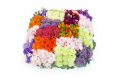 Coussin Carré à Damier Coloré "Héraclite"