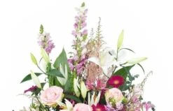 Coussin De Fleurs Pastels En Hauteur "Tirynthe" -L’Agitateur Floral Soldes coussin de fleurs pastels en hauteur tirynthe 2