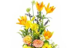 Coussin En Hauteur Jaune & Orange "Apollon" -L’Agitateur Floral Soldes coussin en hauteur jaune orange apollon 2