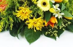 Coussin En Hauteur Jaune & Orange "Apollon" -L’Agitateur Floral Soldes coussin en hauteur jaune orange apollon 3