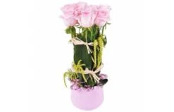 Fagot De Roses Allons Voir Si La Rose...