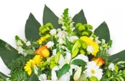 Gerbe De Fleurs Jaunes Oranges & Blanches -L’Agitateur Floral Soldes gerbe de fleurs jaunes oranges blanches 2