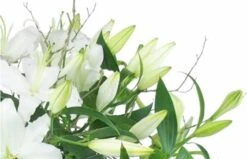 Grand Bouquet De Lys Blanc "Syracuse" 5 Grand Bouquet De Lys Blanc "Syracuse" -L’Agitateur Floral Soldes grand bouquet de lys blanc syracuse 2