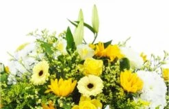 Raquette De Deuil Jaune & Blanche "Pluton" -L’Agitateur Floral Soldes raquette de deuil jaune blanche pluton 2