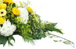 Raquette De Deuil Jaune & Blanche "Pluton" -L’Agitateur Floral Soldes raquette de deuil jaune blanche pluton 3