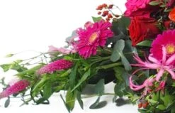 Raquette De Deuil Rouges, Fuchsias & Roses "Korinthos" 6 Raquette De Deuil Rouges, Fuchsias & Roses "Korinthos" -L’Agitateur Floral Soldes raquette de deuil rouges fuchsias roses korinthos 2