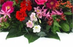 Raquette De Deuil Rouges, Fuchsias & Roses "Korinthos" 7 Raquette De Deuil Rouges, Fuchsias & Roses "Korinthos" -L’Agitateur Floral Soldes raquette de deuil rouges fuchsias roses korinthos 3