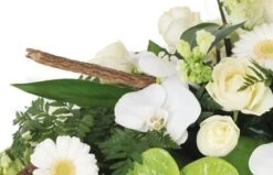 Raquette De Deuil Verte & Blanche Commémoration 5 Raquette De Deuil Verte & Blanche Commémoration -L’Agitateur Floral Soldes raquette de deuil verte blanche commemoration 2