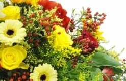 Raquette Fleurs Colorées "Thucydide" -L’Agitateur Floral Soldes raquette fleurs colorees thucydide 2