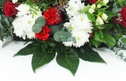 Raquette Rouge & Blanche "Delphes" -L’Agitateur Floral Soldes raquette rouge blanche delphes 2