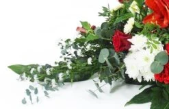 Raquette Rouge & Blanche "Delphes" -L’Agitateur Floral Soldes raquette rouge blanche delphes 3