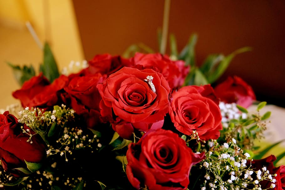 Devant -L’Agitateur Floral Soldes roses bouquet of roses flower bouquet love flowers